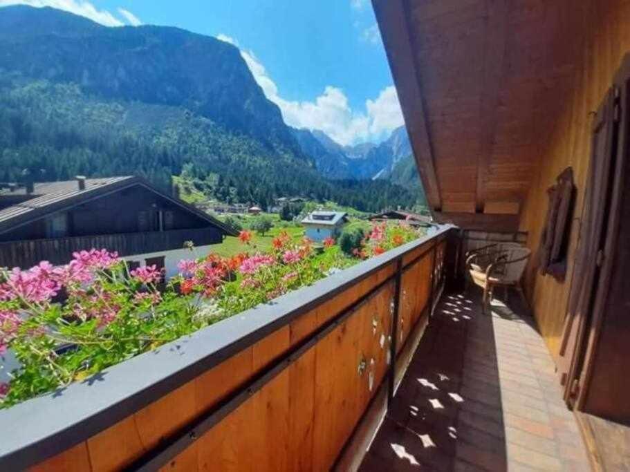La Mansarda In The Dolomites Jacuzzi Lejlighed Santo Stefano Di Cadore Eksteriør billede